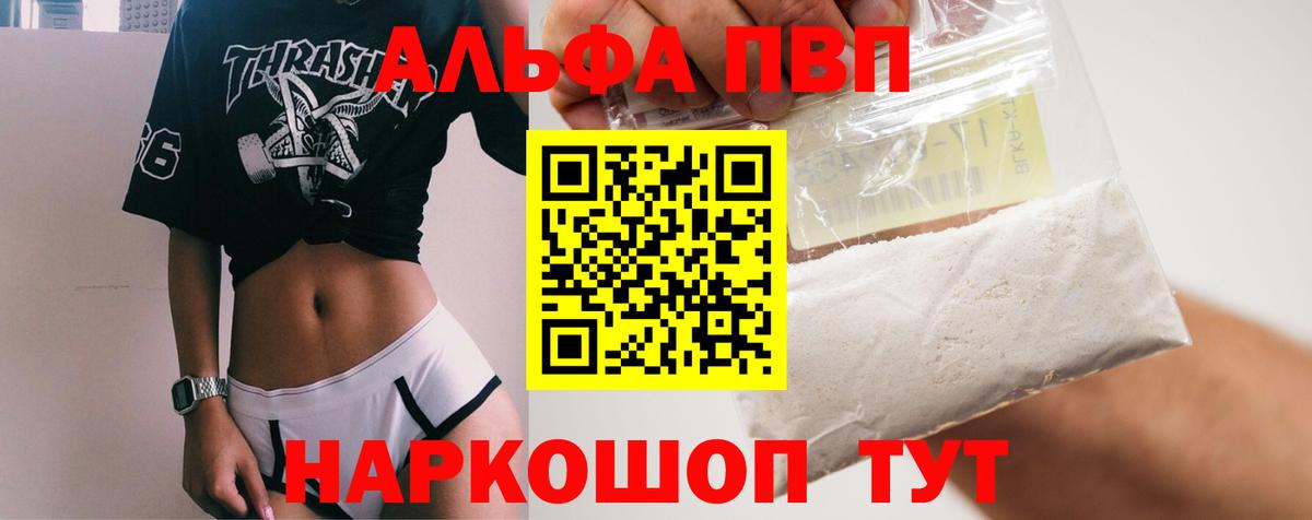 Альфа ПВП СК Камень-на-Оби