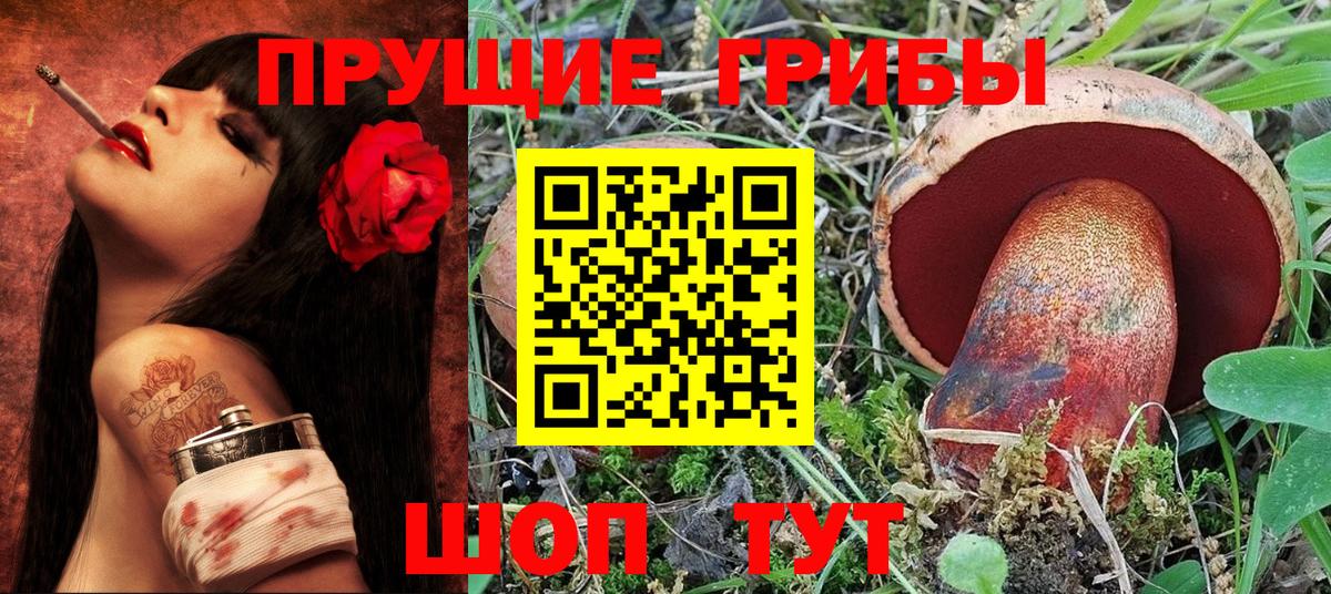 Галлюциногенные грибы Psilocybe  Галлюциногенные грибы мицелий  Камень-на-Оби  Вход с VPN 